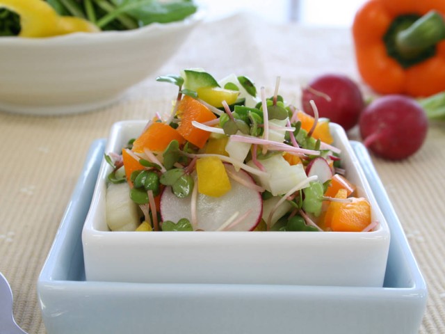 赤ラディッシュの新芽　コールスロー風