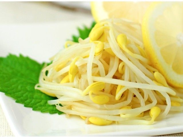 子大豆もやし芽ぐみで”もやしレモン”