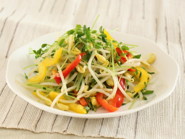 豆苗と子大豆もやし芽ぐみの温野菜サラダ