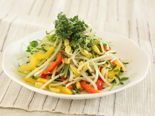 豆苗と子大豆もやしたっぷり満腹サラダ
