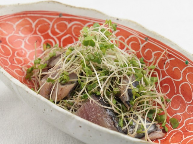 【管理栄養士監修】鰹とスプラウトのアマニ油ドレッシング和え