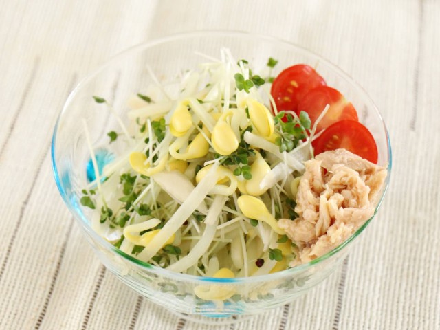 大豆もやしと新生姜、ツナ缶でおつまみ