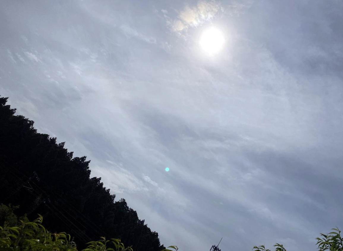 梅はその日の難逃れ2022