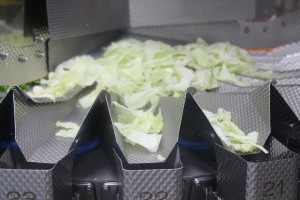 工場見学カット野菜計量器