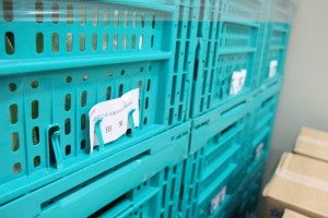 工場見学カット野菜の産地から野菜入荷