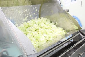 工場見学カット野菜洗浄機