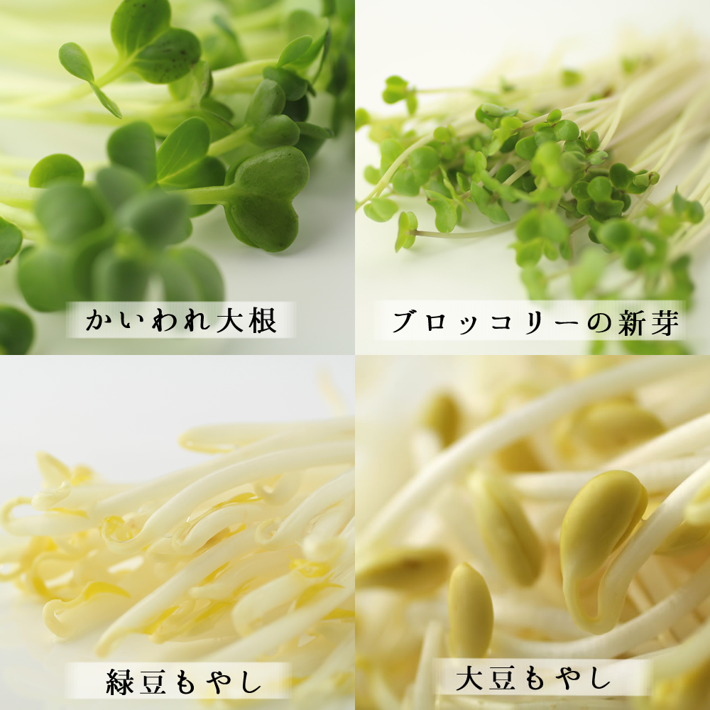 発芽野菜は天然のサプリ サラダコスモ公式ブログ