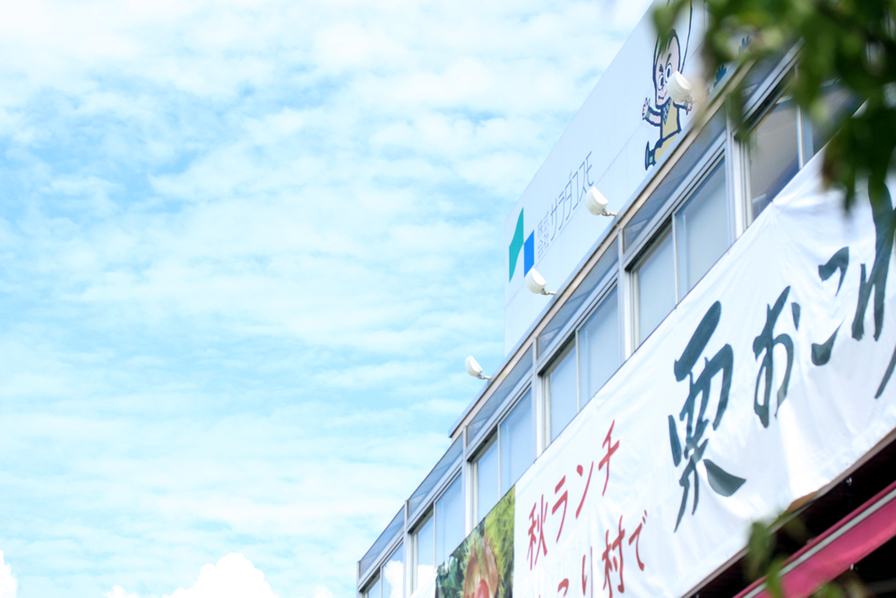 スプラウトレシピ　発芽野菜レシピ