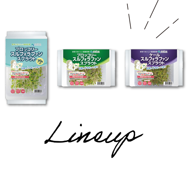 Lineup ラインナップ