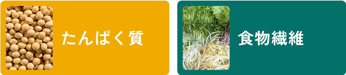 たんぱく質　食物繊維