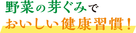 野菜の芽ぐみでおいしい健康習慣!