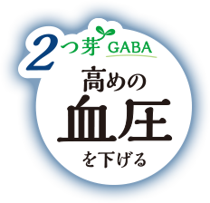 2つ芽 GABA 高めの血圧を下げる