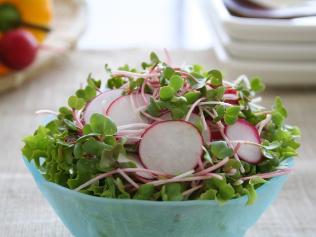 二十日正月 サラダコスモの おいしい発芽野菜レシピ