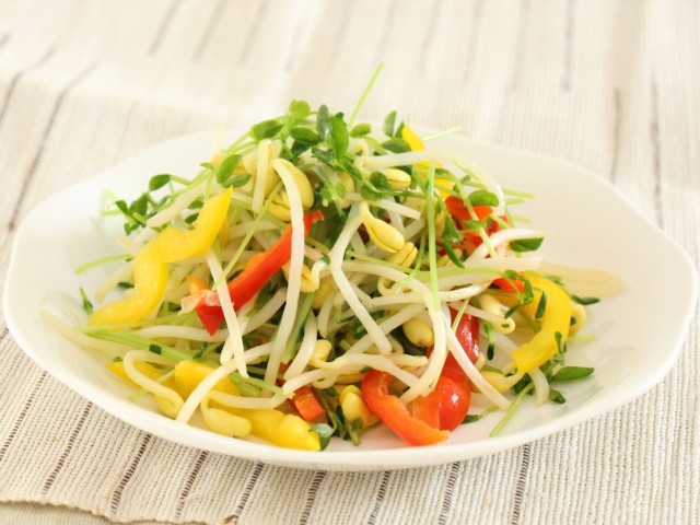 大豆もやしと豆苗でカラフルサラダ