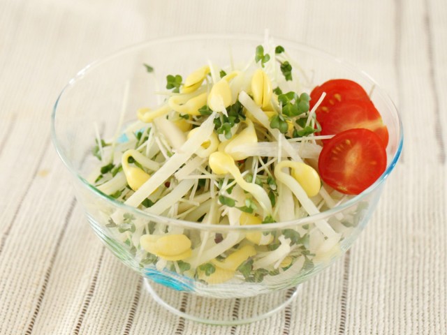 大豆もやしと新生姜で昆布茶和え