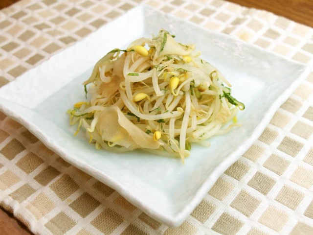 子大豆もやしで ガリもやし サラダコスモの おいしい発芽野菜レシピ
