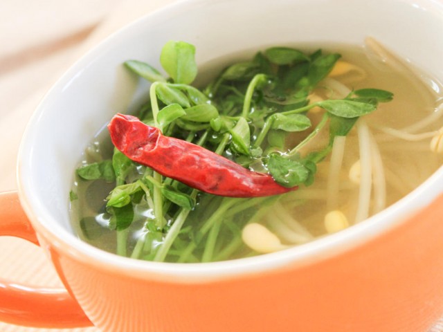 豆苗と子大豆もやしのコンソメスープ サラダコスモの おいしい発芽野菜レシピ