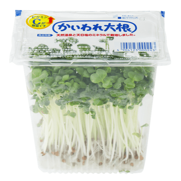 かいわれ大根 のレシピ サラダコスモの おいしい発芽野菜レシピ