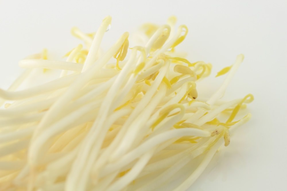 サラダコスモ 野菜に夢中研究所・研究員 山下　芙実子