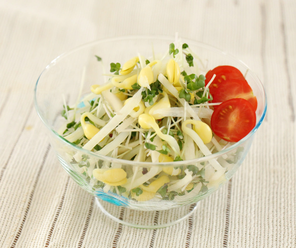 大豆もやしと新生姜で昆布茶和え