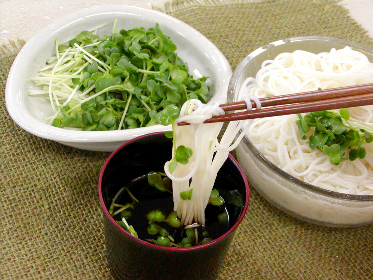 そうめんの薬味にカイワレ大根 サラダコスモの おいしい発芽野菜レシピ