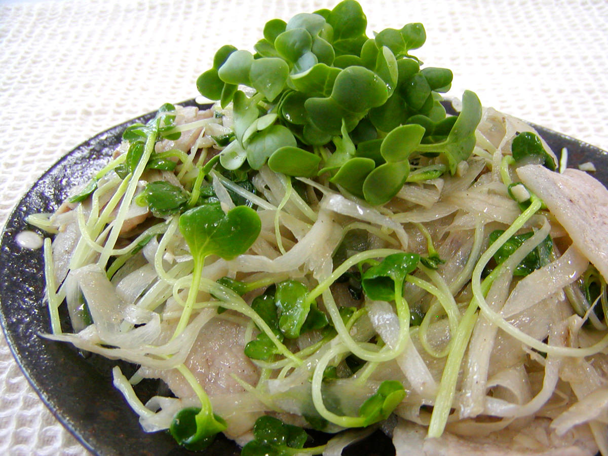 かいわれ大根と豚肉のごぼう炒め