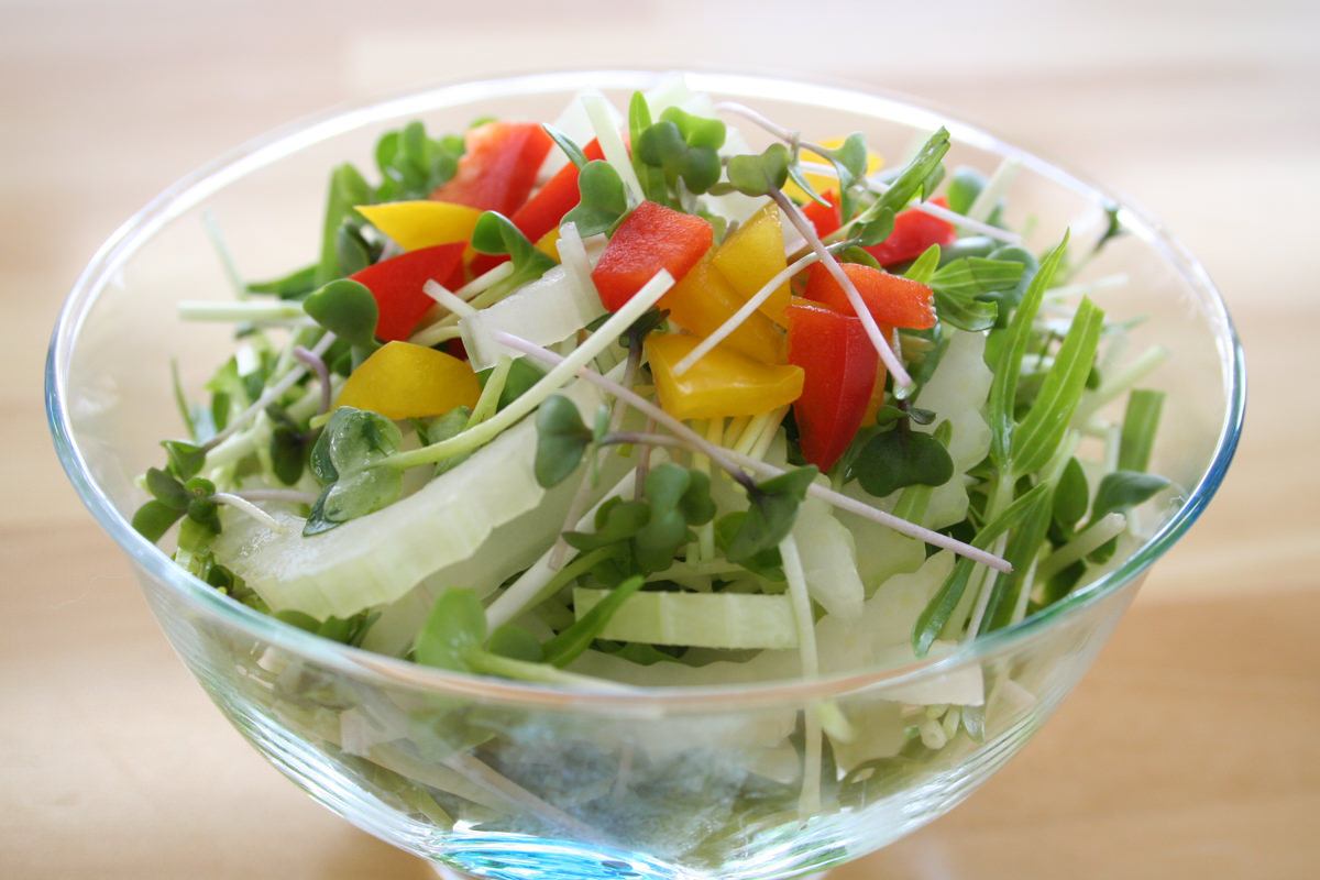 春レシピ サラダコスモの【おいしい発芽野菜レシピ】