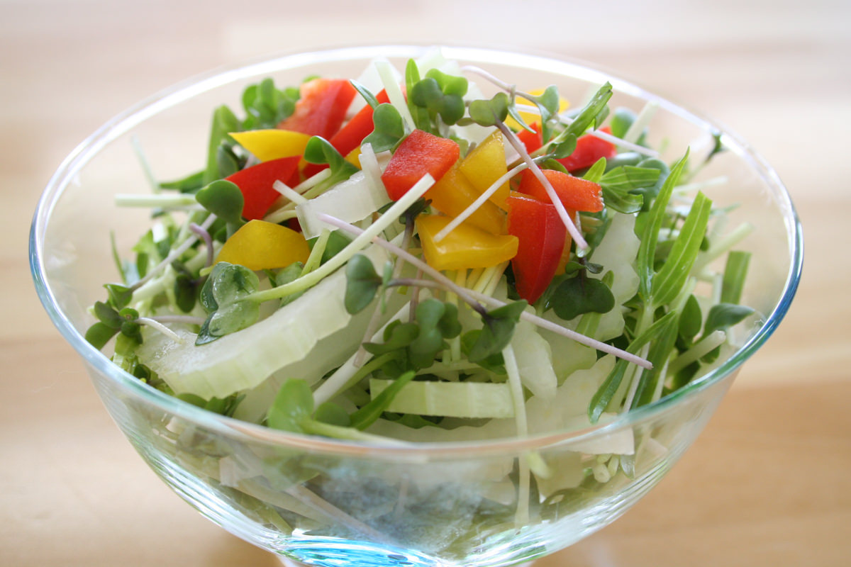 かいわれ大根とセロリのサラダ サラダコスモの おいしい発芽野菜レシピ