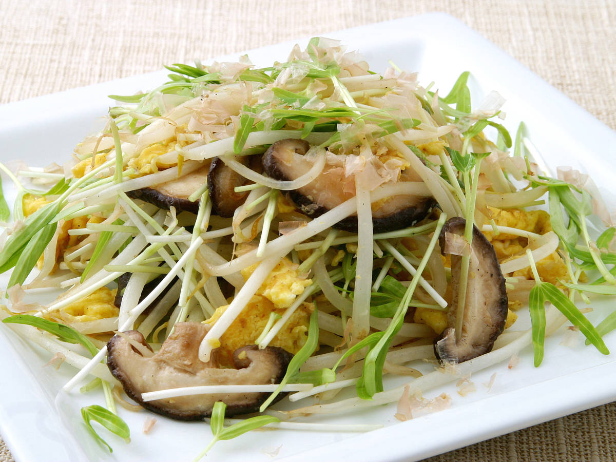 空心菜の新芽とたまもやし炒め サラダコスモの おいしい発芽野菜レシピ