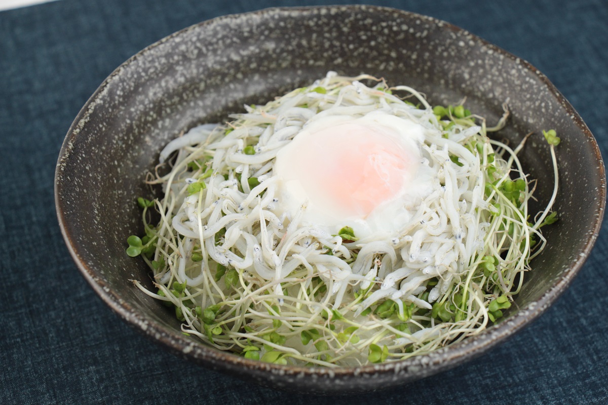 【管理栄養士監修】しらすとスプラウトの丼ぶり