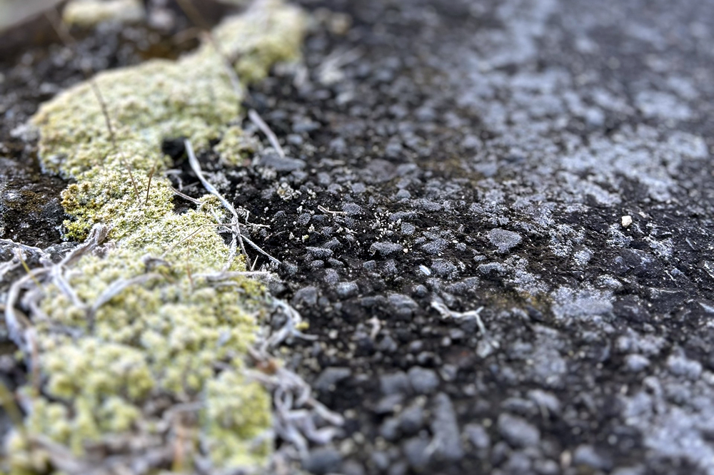 熱いがご馳走2025