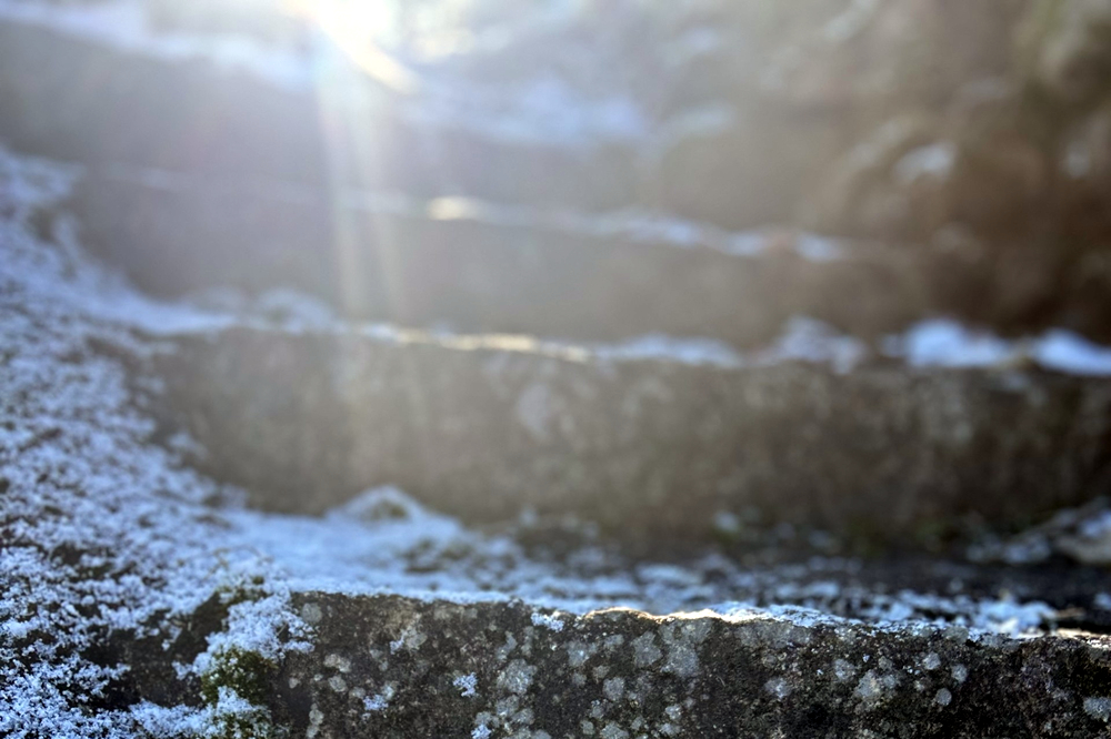 朝の茶がうまいと晴天2025