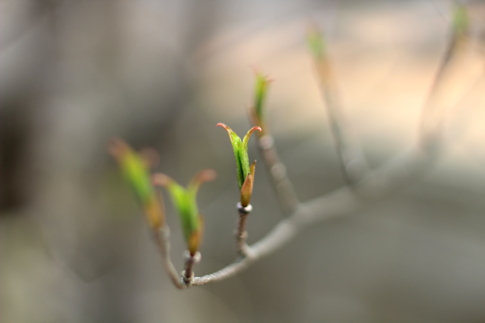 海老で鯛を釣る2025