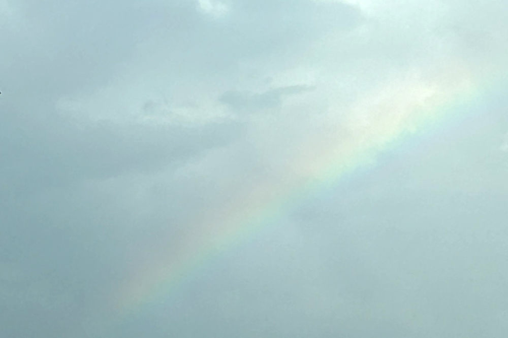 鰻屋でせかすのは野暮2025