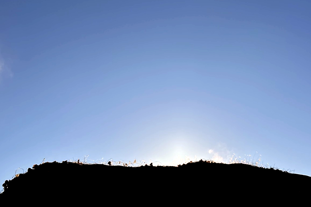 師走女房に難つけな2025