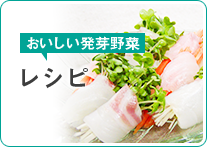 おいしい発芽野菜　レシピ