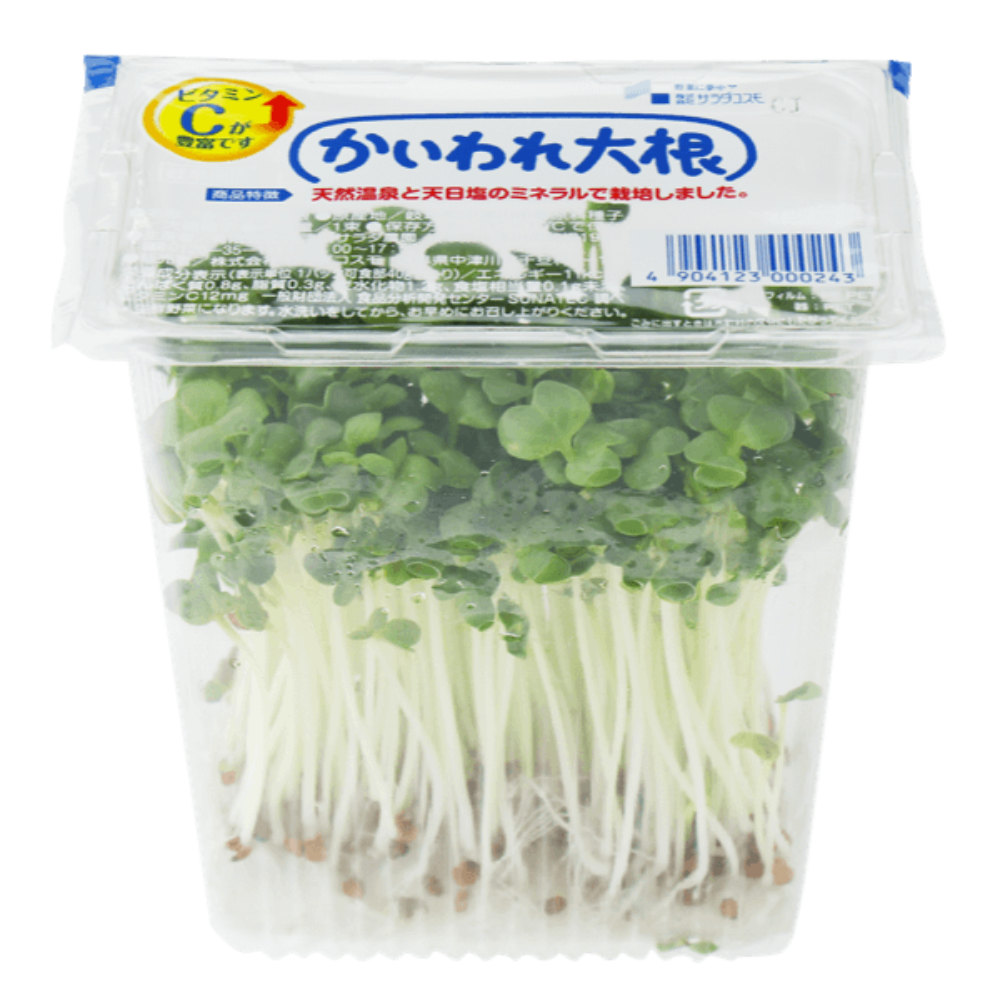かいわれ大根