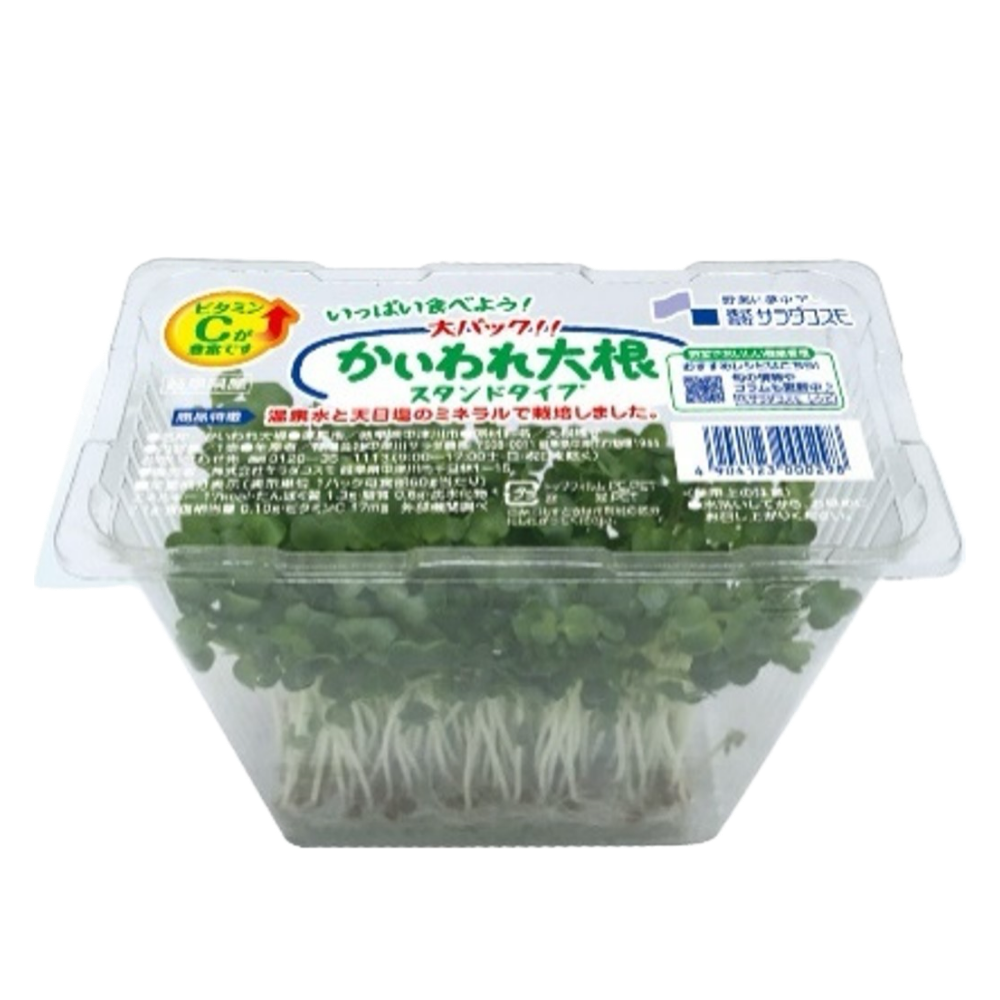 かいわれ大根様 かいわれ大根 - すぷらうとくらぶ